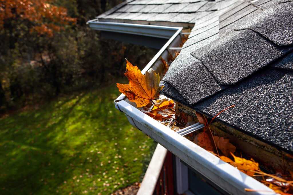 Autumn leaves in a rain gutter